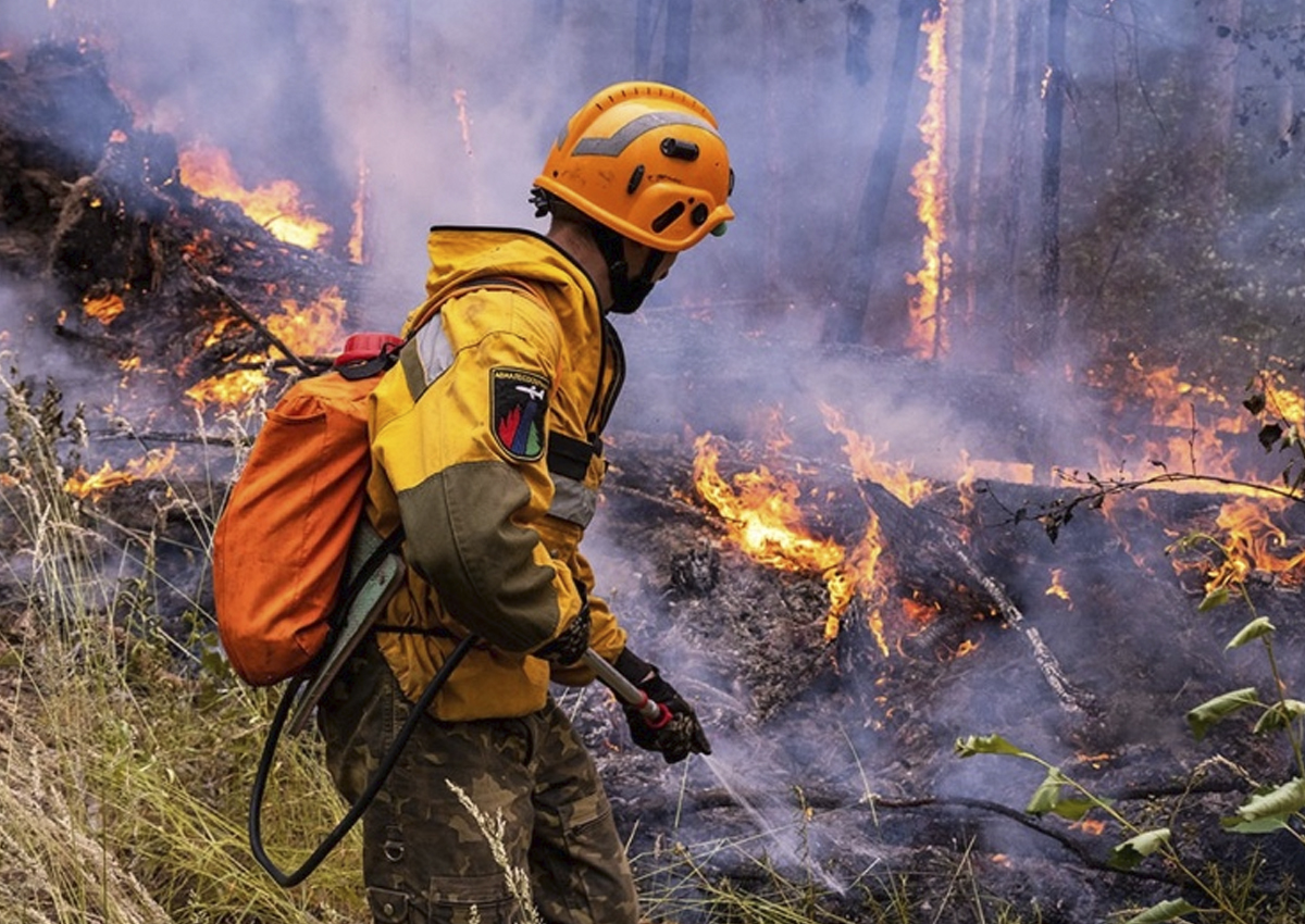 В Рослесхозе назвали регионы с самой сложной лесопожарной обстановкой 9 мая