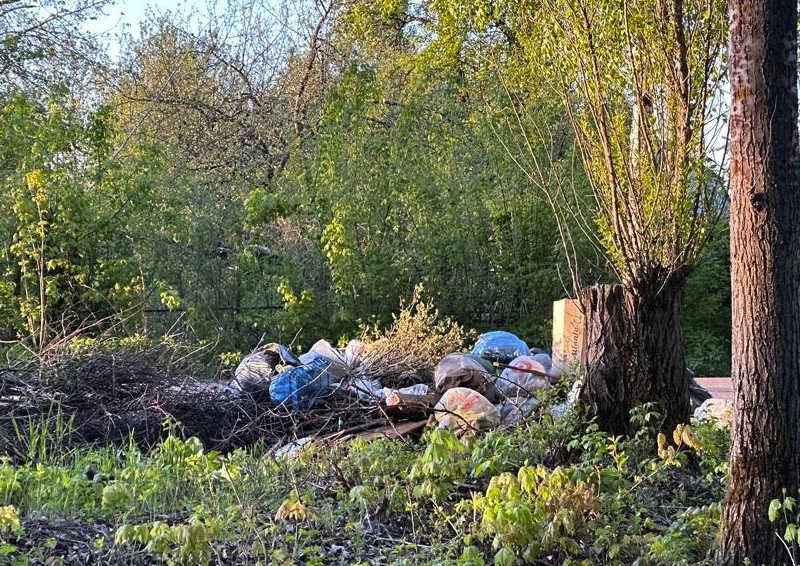 Новый тамбовский министр экологии выступила, а мусор все равно «сыпят и говорят, что «распоряжение сверху»
