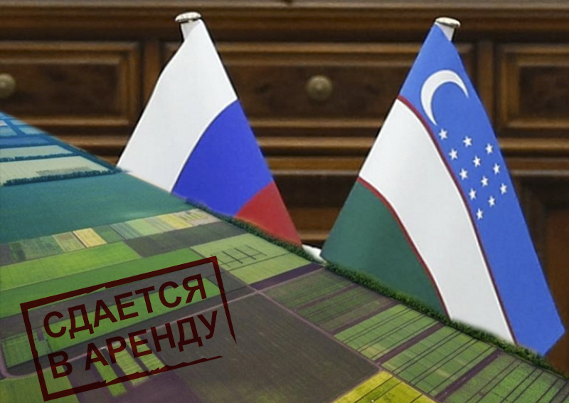 «Узбекистан пользуется возможностями, которые упускает Россия»: глава ассоциации «Росспецмаш» о сдаче в аренду земель иностранцам