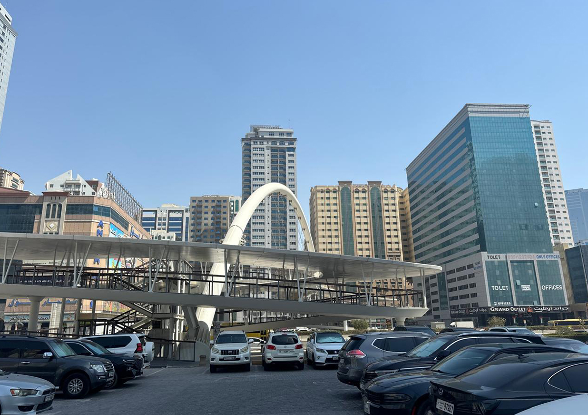 О чем могли говорить президенты России и ОАЭ за закрытыми дверями