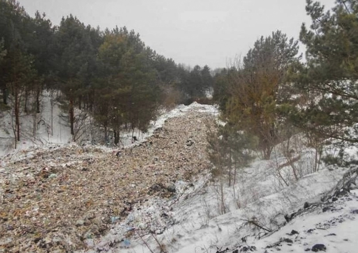 «Нам здесь жить»: кирсановцы пытаются защитить свой город от мусорного коллапса