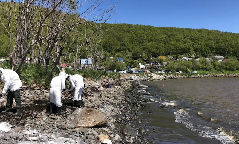 В РАН назвали официальную причину загрязнения воды и гибели морских животных на Камчатке 