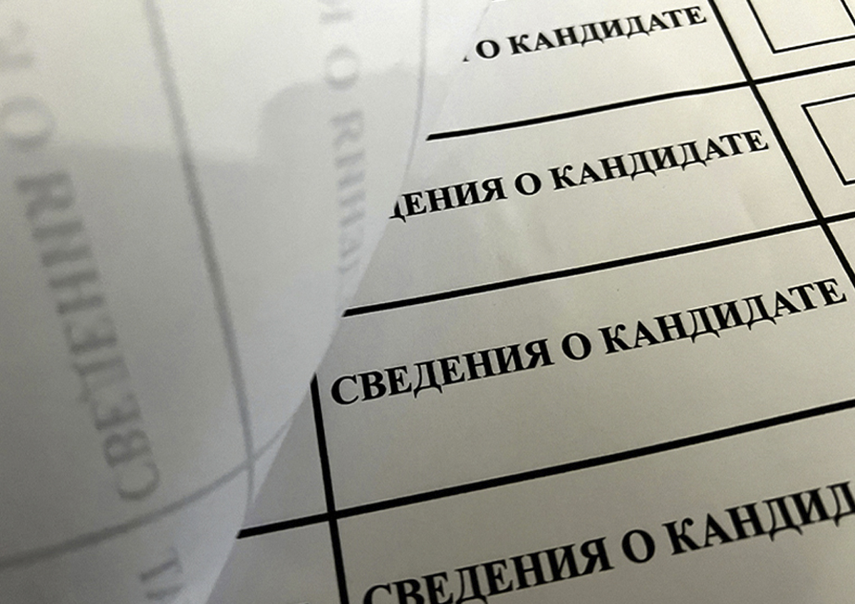 В Нижегородской области – высокий уровень общественного контроля на выборах