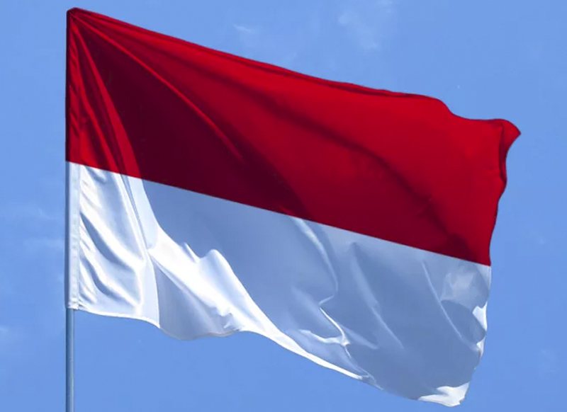 Какую роль Индонезия может сыграть в глобальном противостоянии