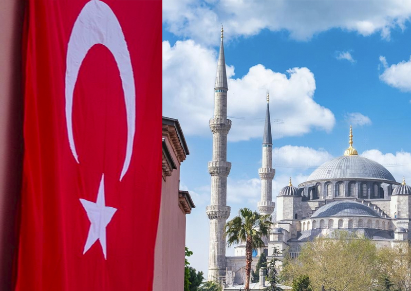Политологи рассказали, чем сейчас обусловлен интерес Турции к России