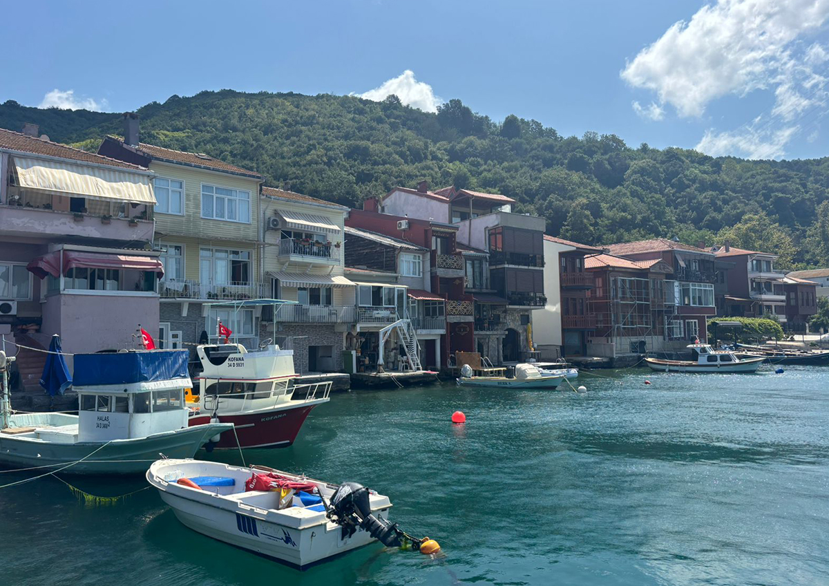 Сможет ли Турция отказаться от российского газа