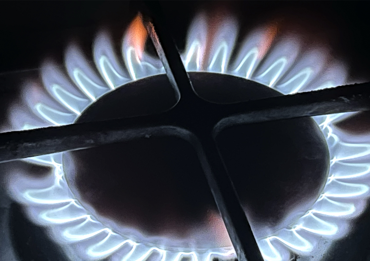 Российские поставки энергоносителей станут предметом обсуждений Трампа и Орбана