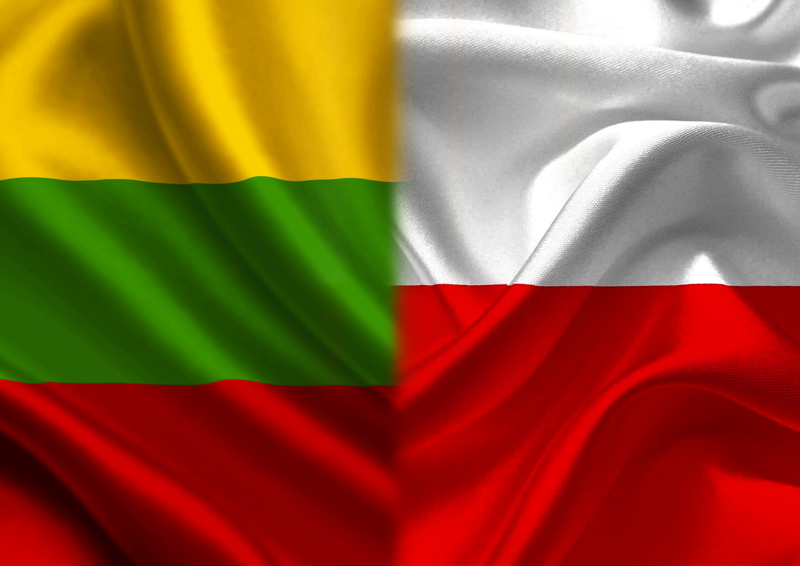 Президент РАПИ рассказал о «подвале со скелетами» у Литвы и Польши