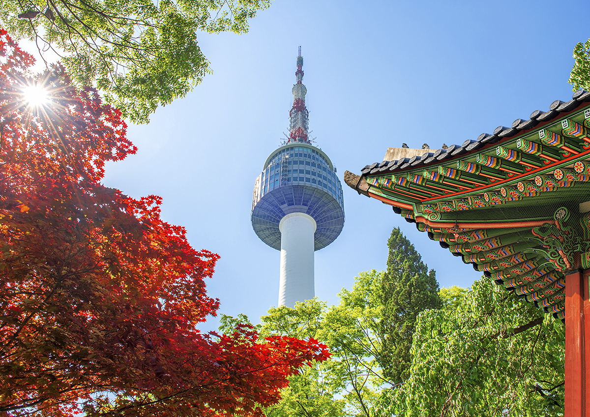 Ввезти в Россию авто из Южной Кореи стало крайне сложно