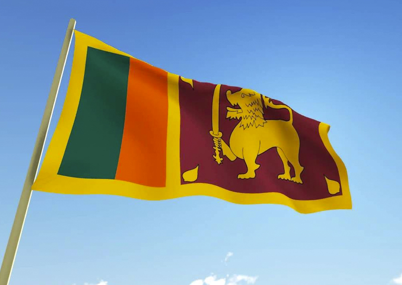 Снежный ком дефолтов докатился до Шри-Ланки. Какая страна следующая?