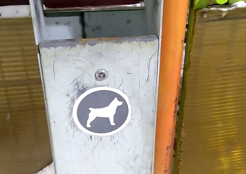 Москвичи жалуются на плохую уборку площадок для выгула собак в праздники