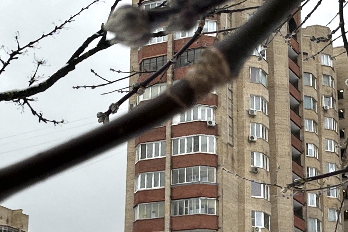 Цены на вторичное жилье стали постепенно расти