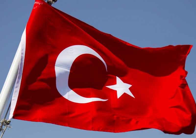 Политолог объяснил, чем отличаются внешнеполитические подходы Турции и ЕС