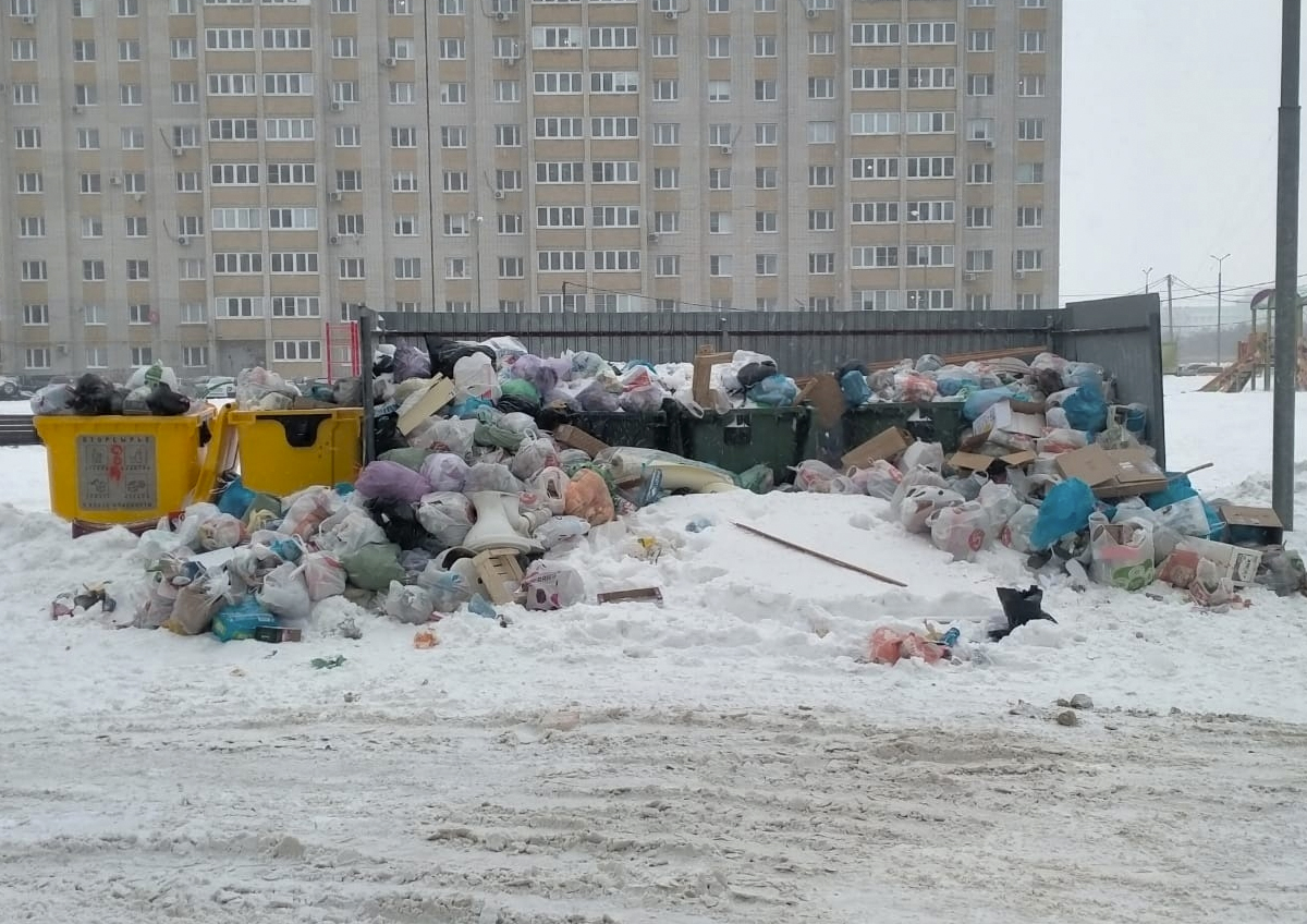 Снегопад не смог прикрыть помойки на улицах Тамбова