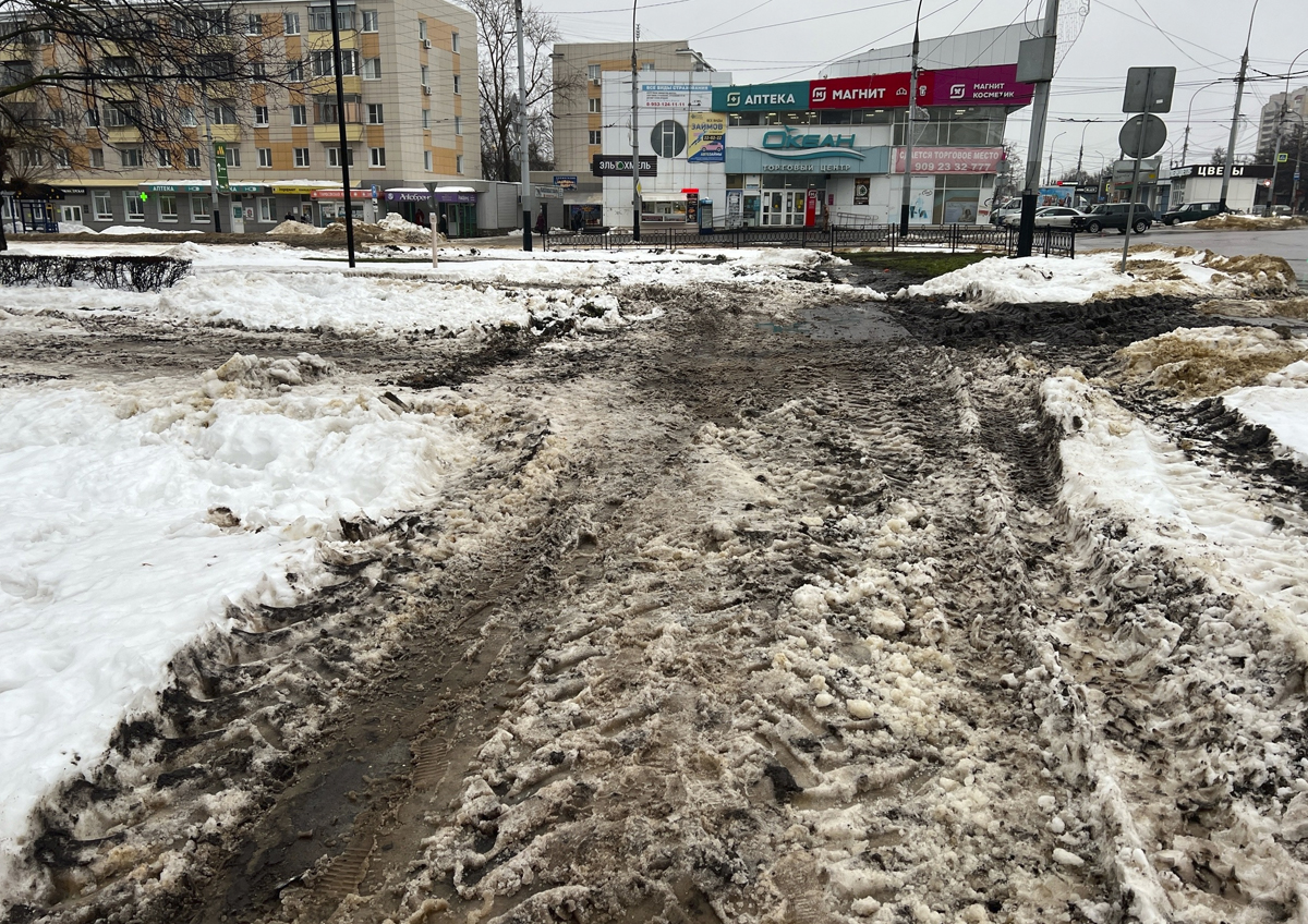 Снегопад не смог прикрыть помойки на улицах Тамбова